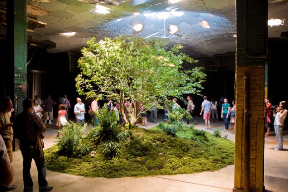 High Hopes for Lowline Park