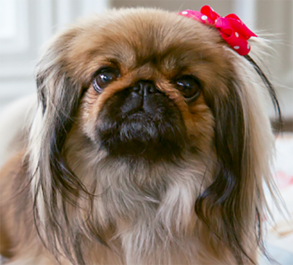 Pikachu, Barclay’s Spot