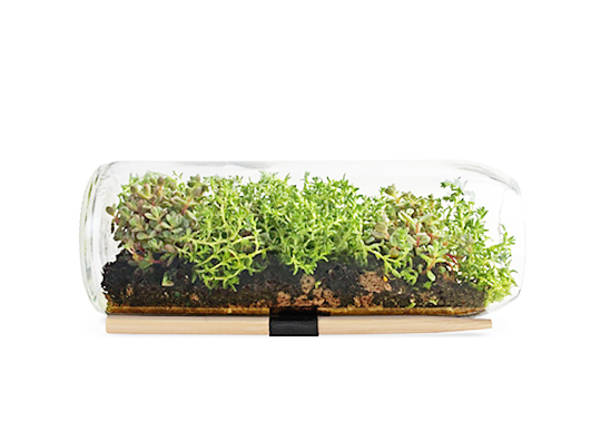 Small Spaces, Big Green Ideas