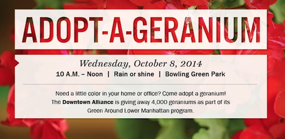 Adopt-a-Geranium at Bowling Green Park