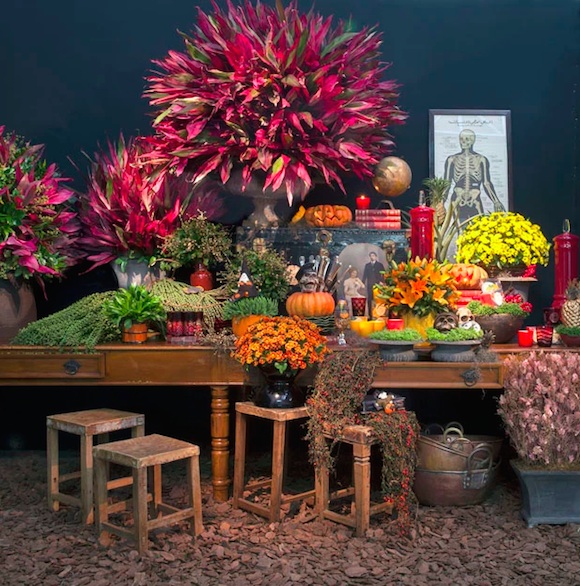 Get Your House Dressed for Halloween