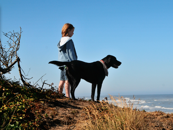 Dogs and Our Health: The Benefits of Furry Friends