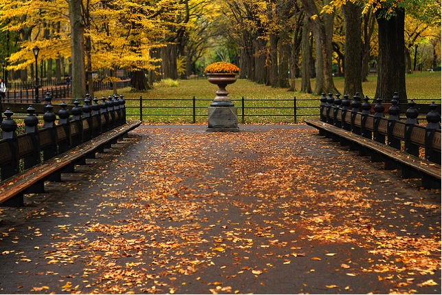 Fall Family Fun In New York City
