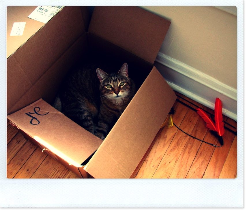 Weekly Moving Tip From FlatRate #3
