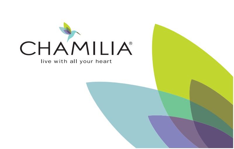 Chamilia Charms for the Graduation Season