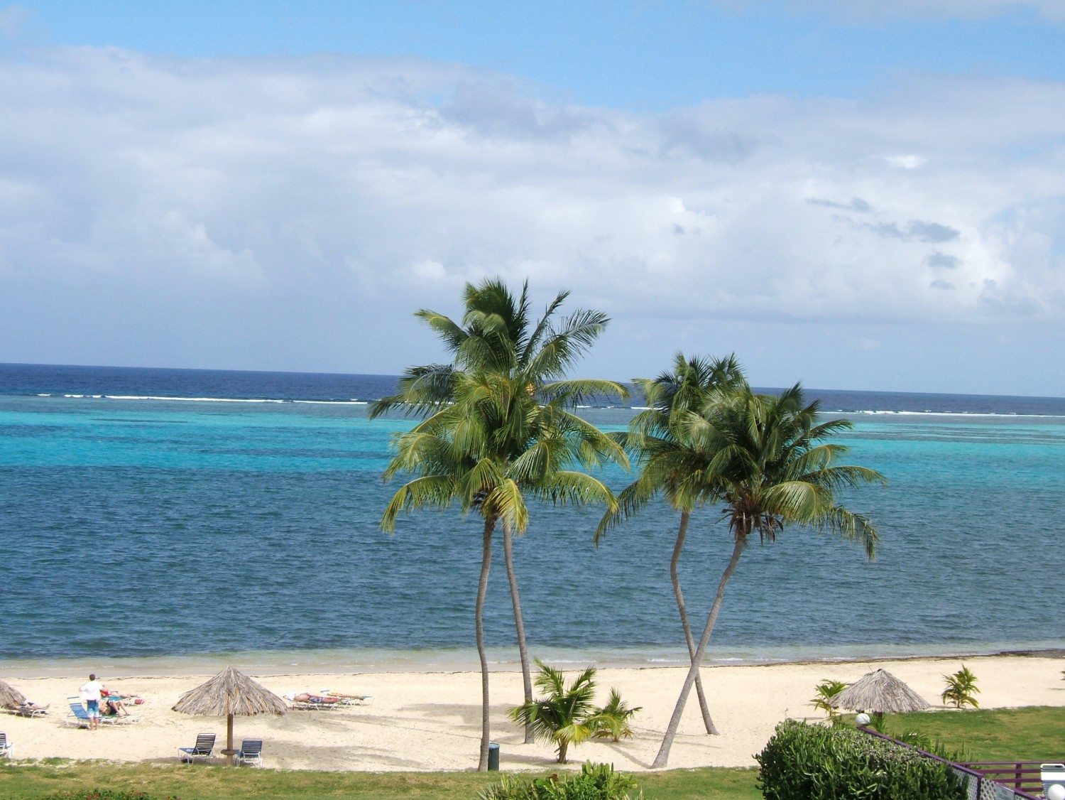 Yoga Guru Koya Webb Leads Body Detox Retreat