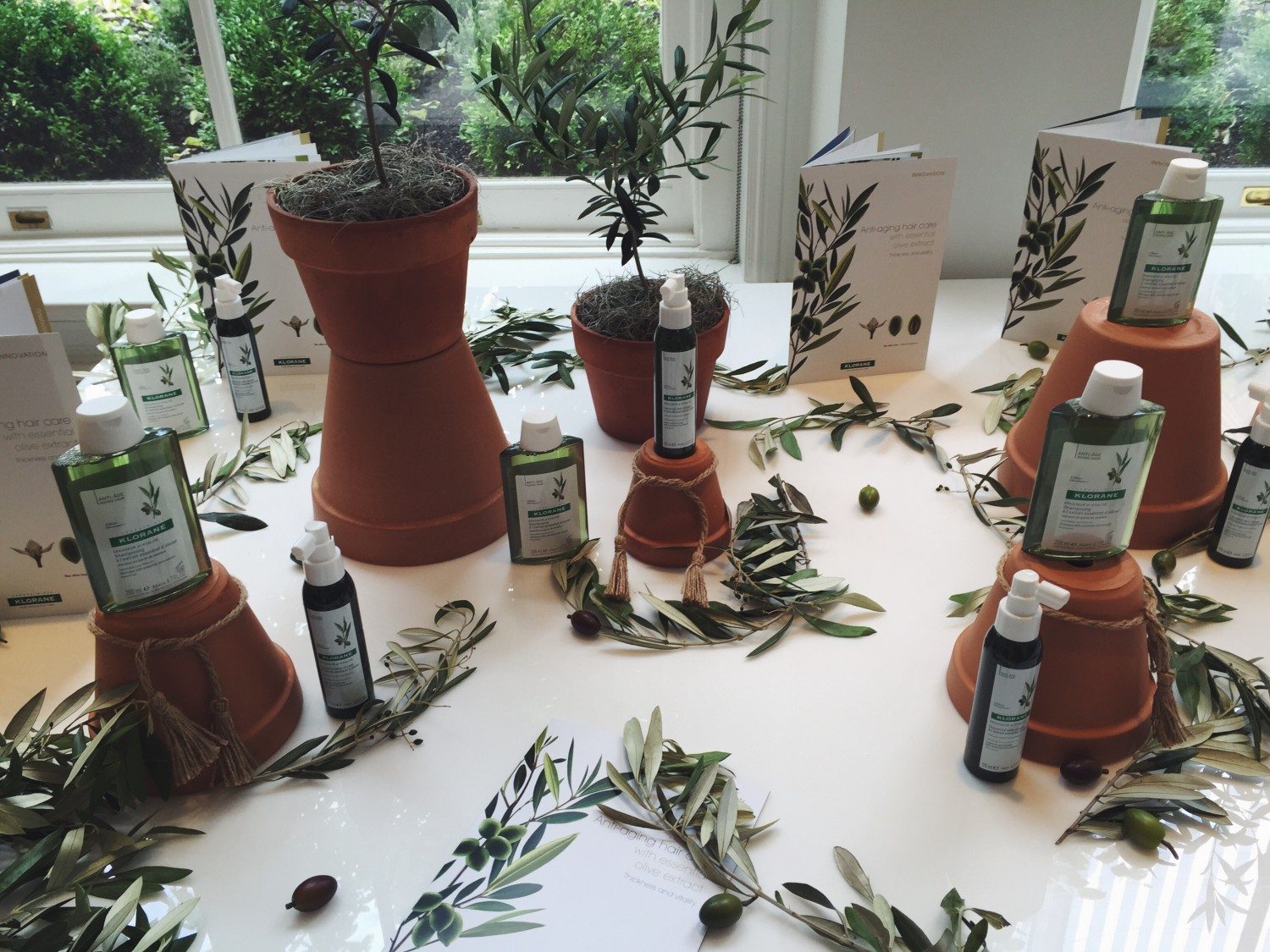 Hair Care Meets Liquid Gold: Olive Extract