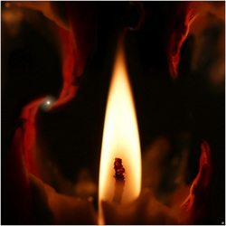 Attend The Light Party and Feel Brand New