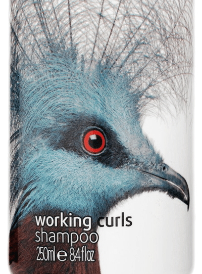 Downtown Recommends: Tara Smith Hair Care