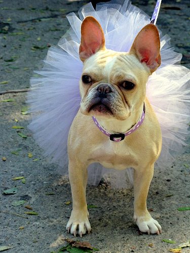 Shelter Chic, Non-Traditional Retail Shop Opens in Tribeca