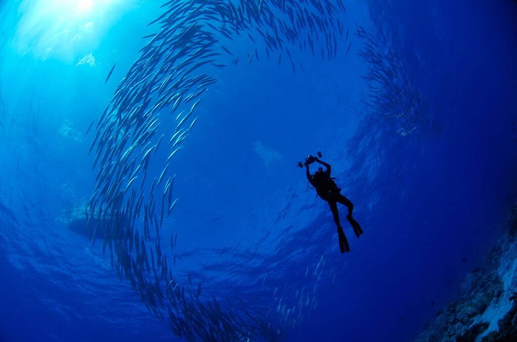 Marine Ecologist Enric Sala to Present at National Geographic Live Speaker Series