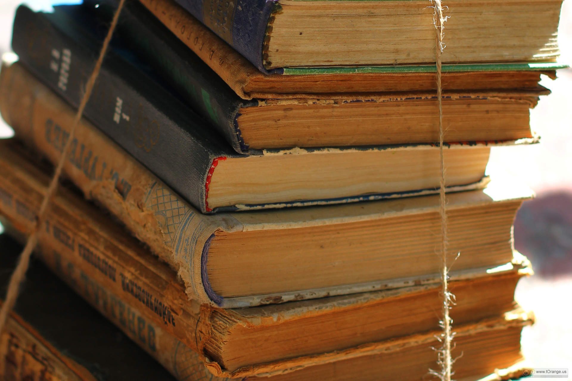 Designers and Books Fair 2015