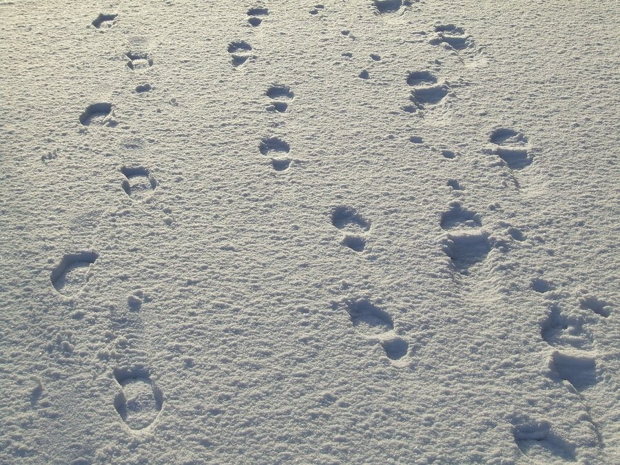 More Fabulous Finds, Perfect for Gift Giving