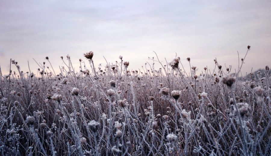 Children’s Winter Skin Care Tips from Dr. Dyan Hes of Gramercy Pediatrics