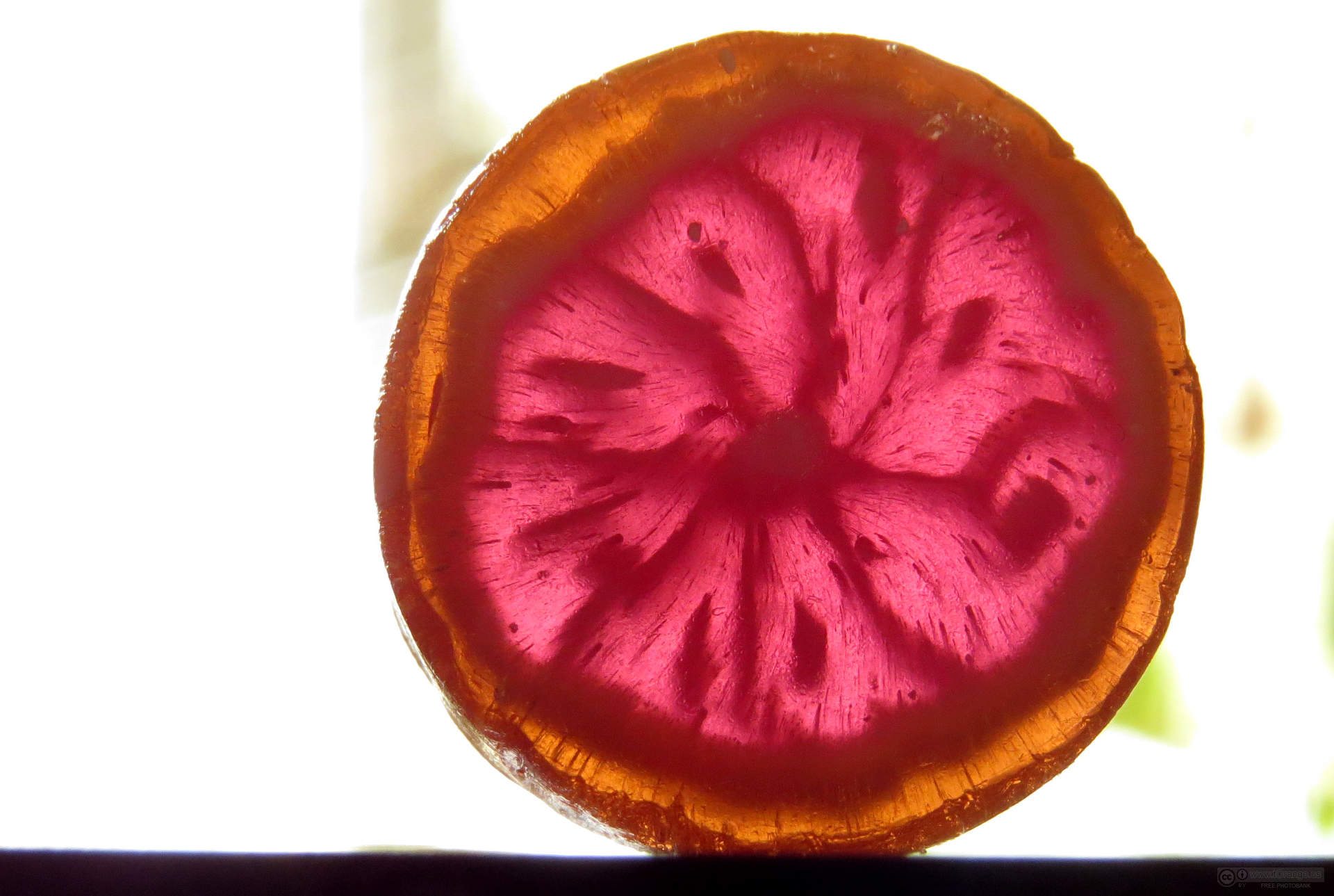 Sweets for Your Sweetheart: The Best Candy Stores Downtown for Valentines Day