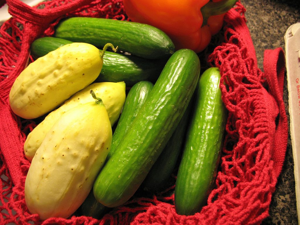 Greenmarket Projected to Return to World Trade Center