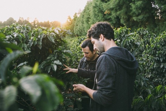 NYC’s Birch Coffee Continues to Grow