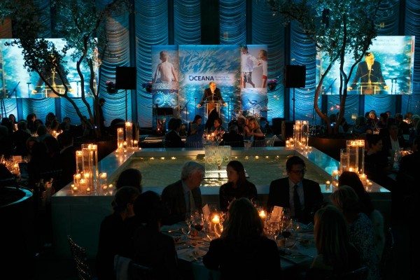 Jeff Goldblum, Susan Rockefeller and Dr. Richard Firshein Lead Oceana’s Star Studded Oceana Gala To Celebrate Dr. Kristian Parker!