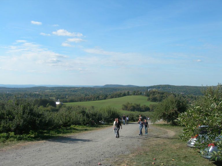 5 Great Day Trips — Courtesy of Denise & FiDi Families