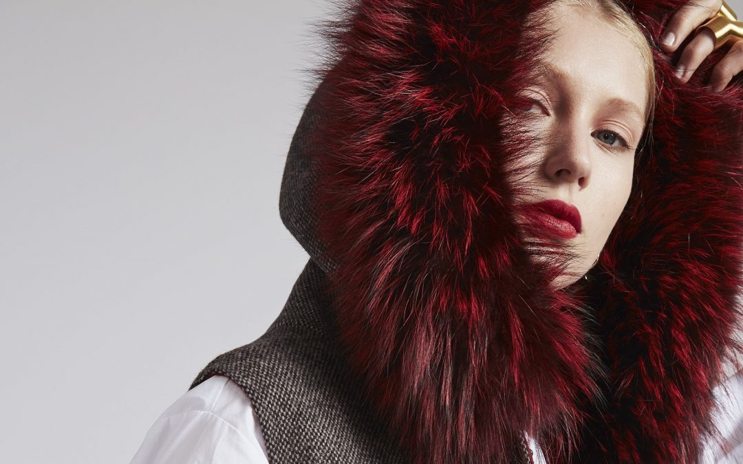 Day 4 Of The 12 Days Of Christmas