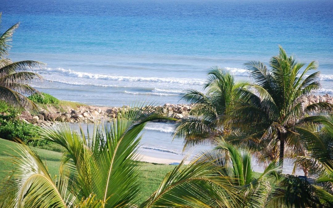 Visiting Jamaica – What You Need to Know