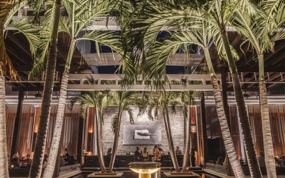 Jaya Restaurant in Setai Hotel South Beach: Where Design and Five Star Food Come Together