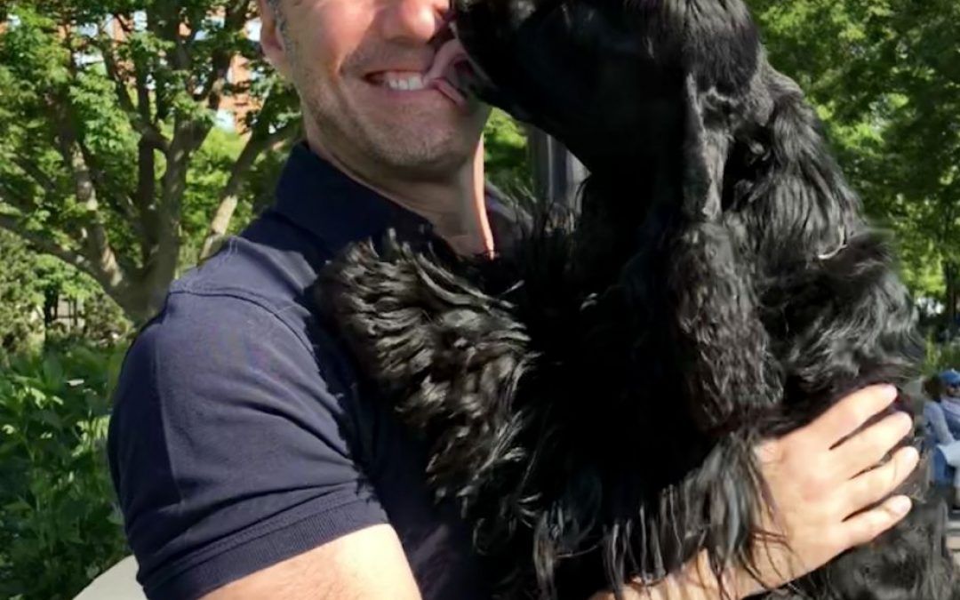 Four-Legged Guest Approved Partnership POOCHi – Conrad New York