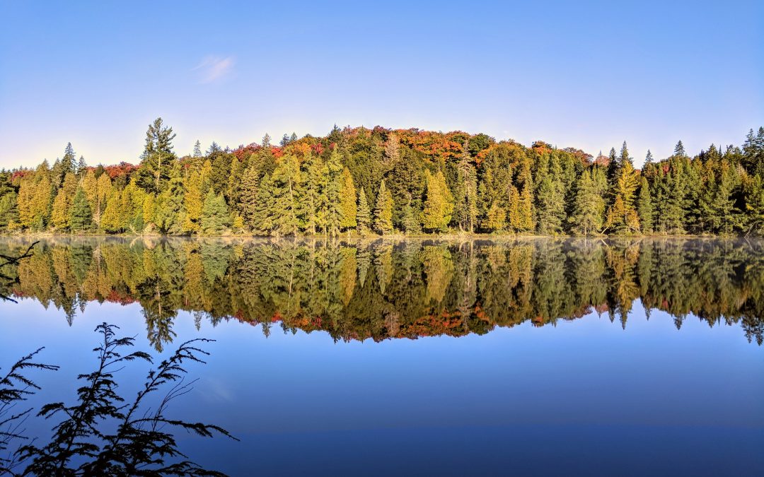 6 Days Backpacking With a Stranger in the Algonquin Provincial Park