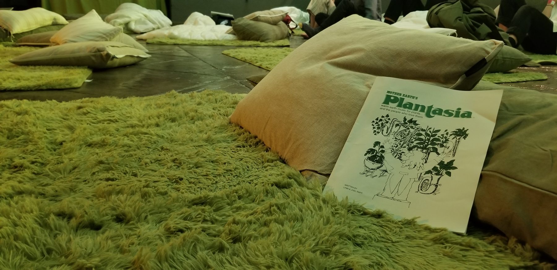 Recreation of the Mother Earth's Plantasia insert leaned up against a shag rug listening station.