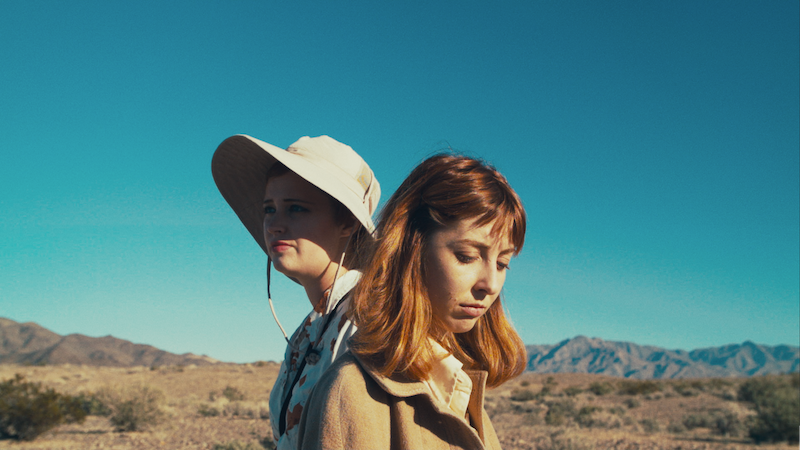 Birds Without Feathers