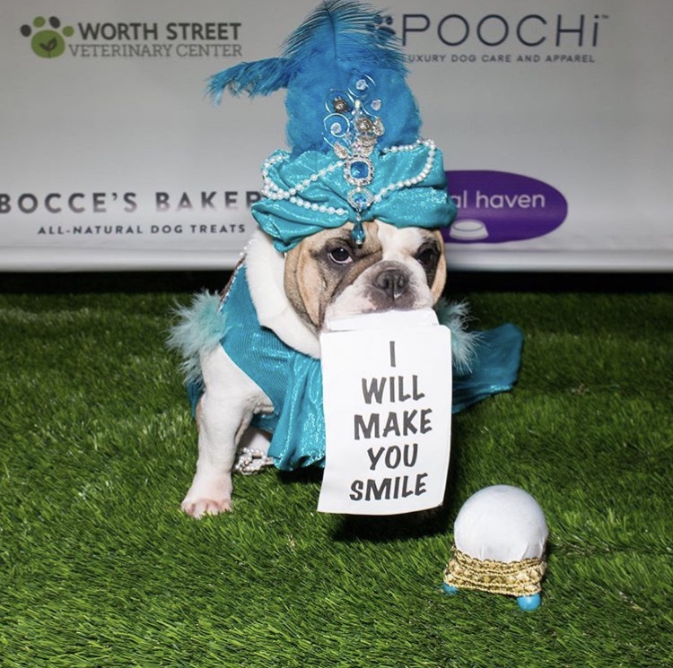 How to Win BARKtoberfest, A Puppy Parade at Pier 17