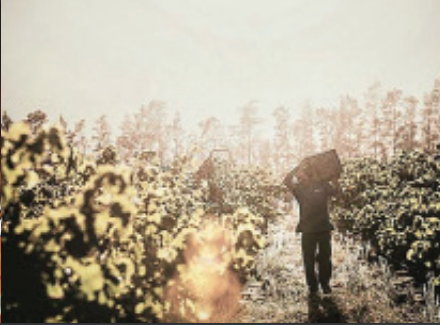 A Non-Guilty Pleasure