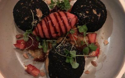 I Visited Providence, Rhode Island’s Bayberry Garden, and Can’t Wait to Return